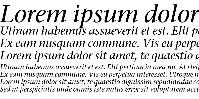 Sample of Stone Serif ITC Medium Italic