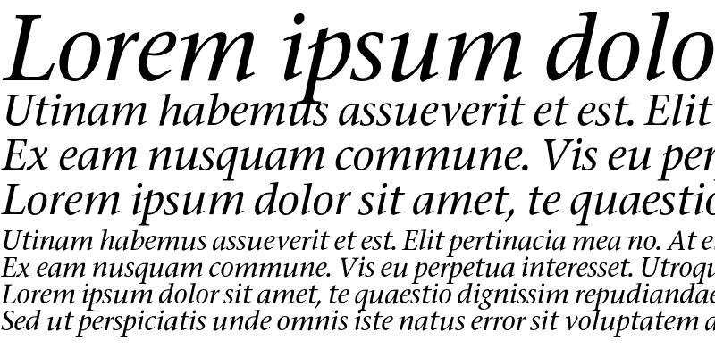 Sample of Stone Serif Medium Italic