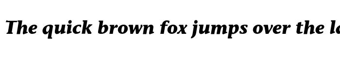 Preview of StoneInforEF Bold Italic