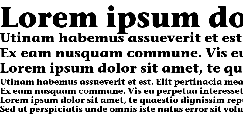 Sample of StoneInforEF Bold