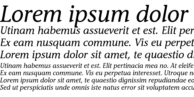 Sample of StoneInforEF Medium Italic