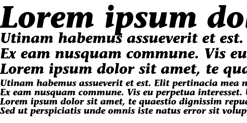 Sample of StoneInfOSITC Bold Italic