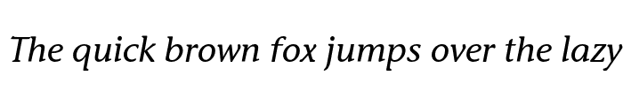Preview of StoneInfOSITC Medium Italic