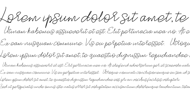 Sample of Stylish Script