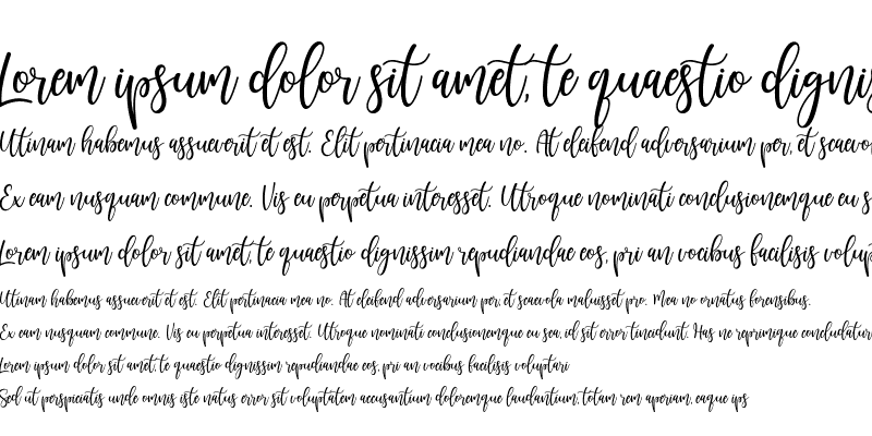 Sample of Sunkisa Regular