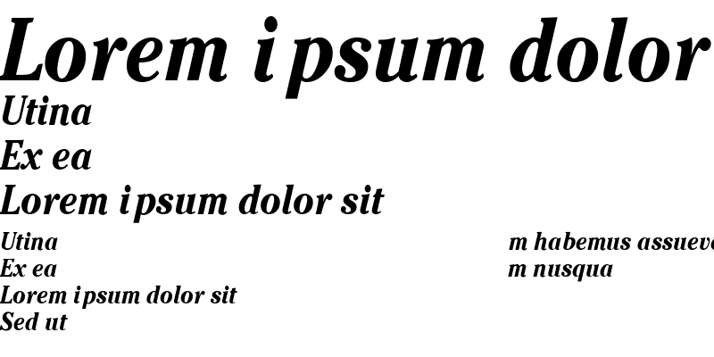 Sample of Sussex Cond Bold Italic