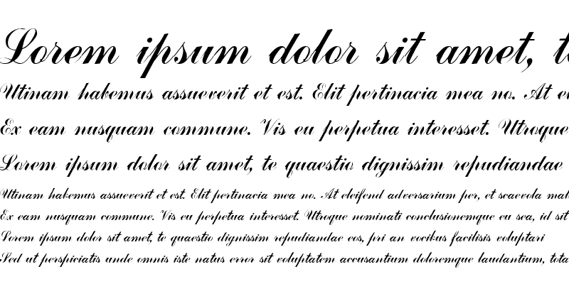 Sample of SVNcommercial Script H Italic