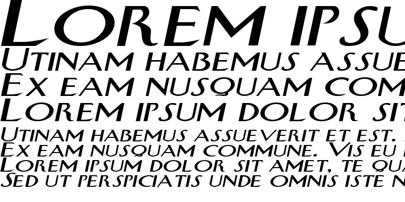 Sample of SwanExtended Italic