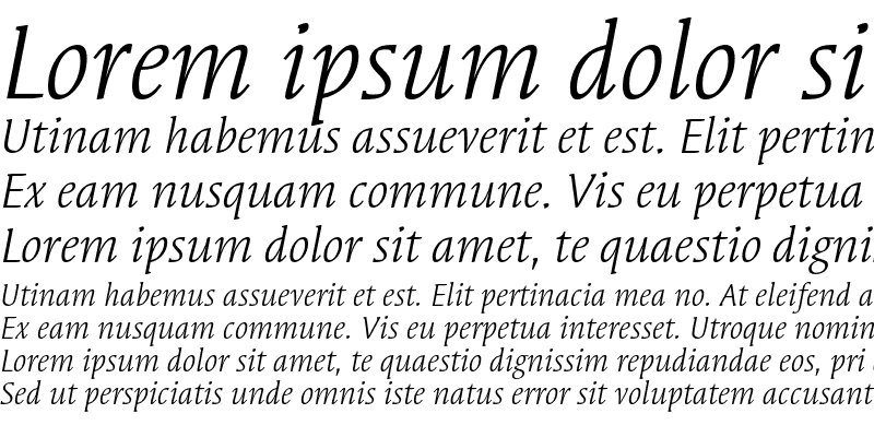 Sample of Syndor ITC Std Book Italic