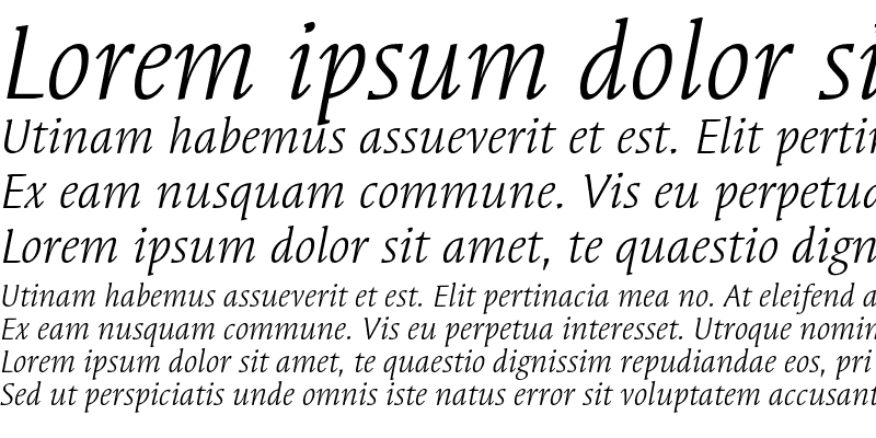 Sample of SyndorEF-BookItalic