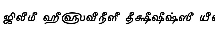 Preview of TAM-Ilango Bold
