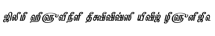 Preview of TAM-Kannadasan BoldItalic