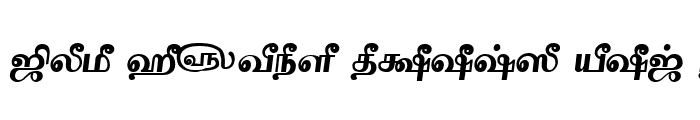 Preview of Tam-Tamil203 Bold