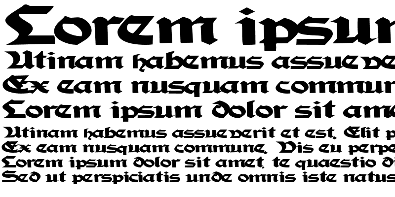 Sample of TampicoSSK Bold