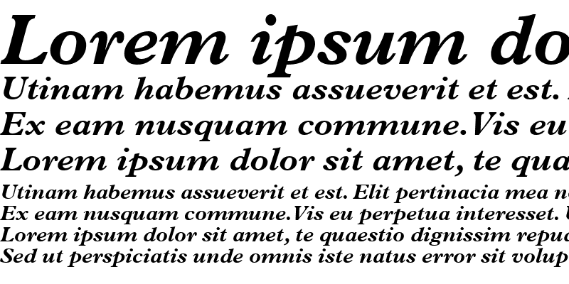 Sample of Terminus Black SSi Bold Italic