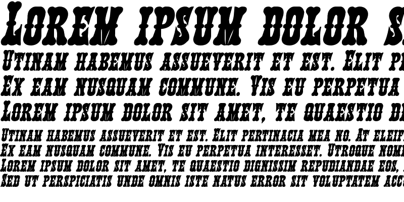 Sample of Texas Ranger Bold Italic Bold Italic