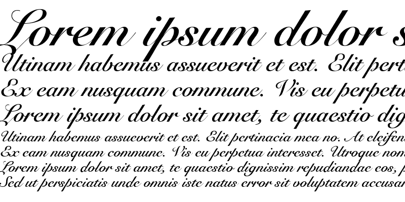 Sample of TFF Script Roundhand Bold Italic