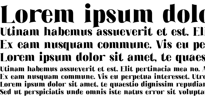 Sample of The Barista