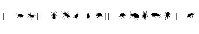 Preview of The Beetles Medium