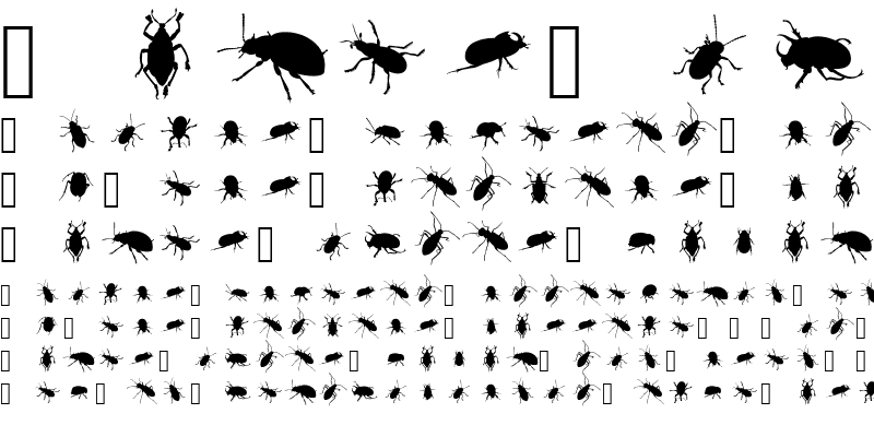 Sample of The Beetles