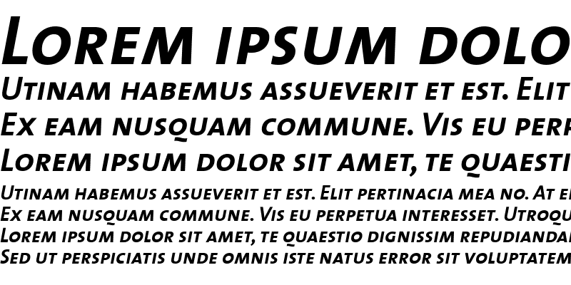 Sample of The Sans Bold- Italic