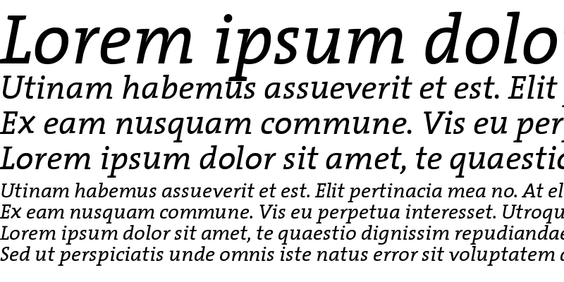 Sample of The Serif- Italic