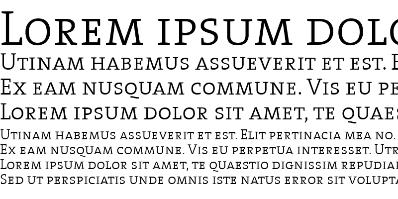 Sample of The Serif Light- Bold