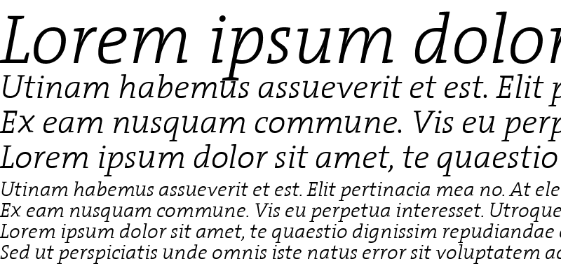 Sample of The Serif Light- Italic