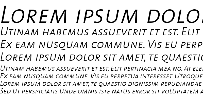 Sample of TheMixLight Roman Italic
