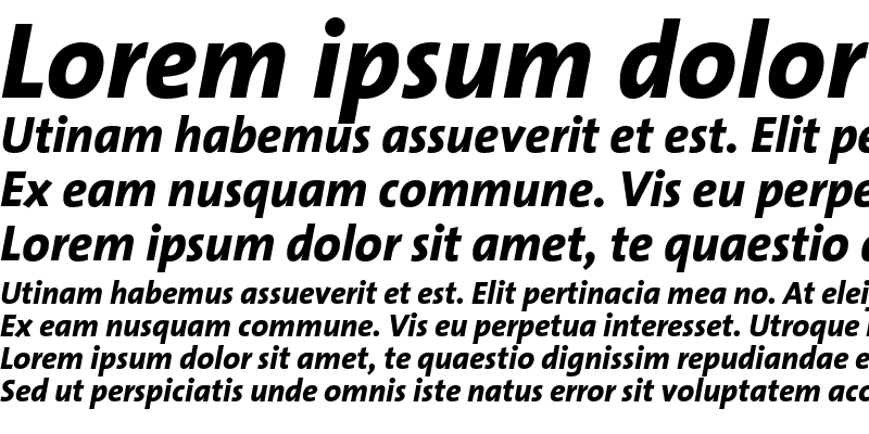 Sample of TheSans B8 ExtraBold Italic