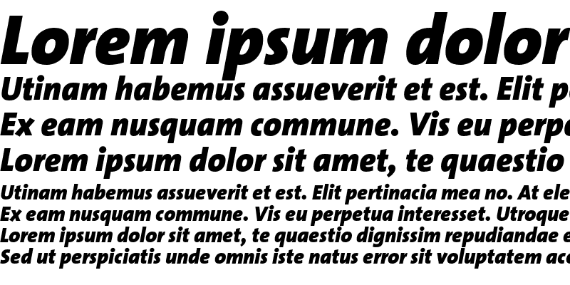 Sample of TheSans B9 Black Italic