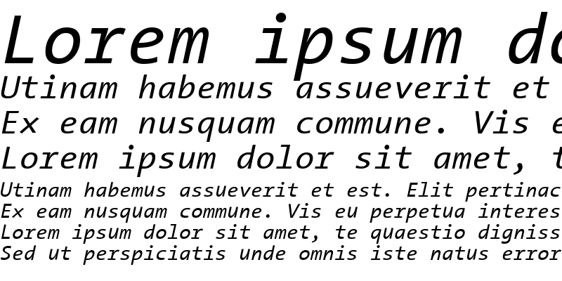 Sample of TheSans Mono Regular Italic