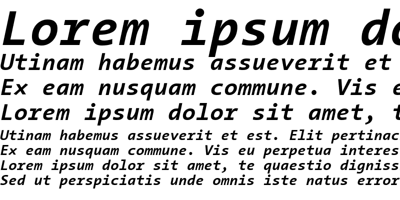 Sample of TheSansMono Bold Italic