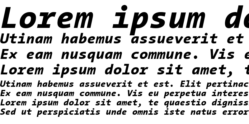 Sample of TheSansMono ExtraBold Italic