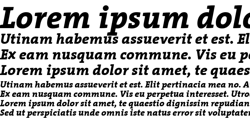 Sample of TheSerif ExtraBold Italic