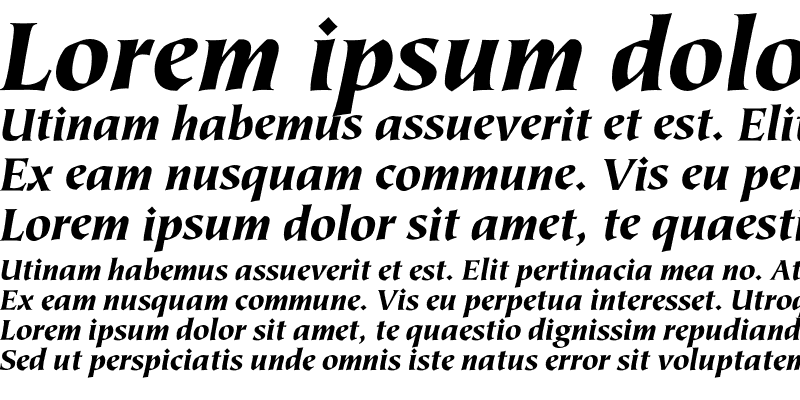 Sample of TiepoloEF Black Italic