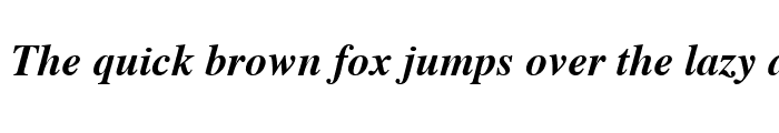 Preview of Times Bold Italic