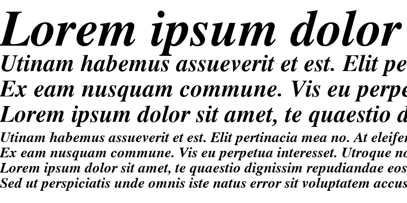 Sample of Times Bold Italic