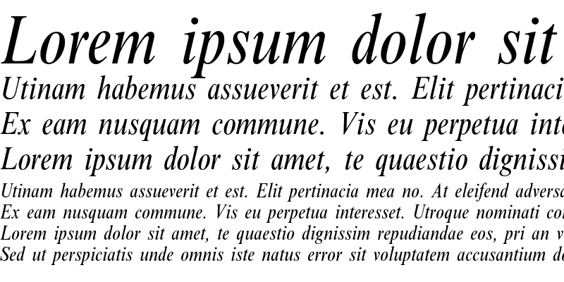 Sample of Times Condensed Italic