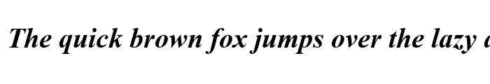 Preview of Times New Roman Bold Italic