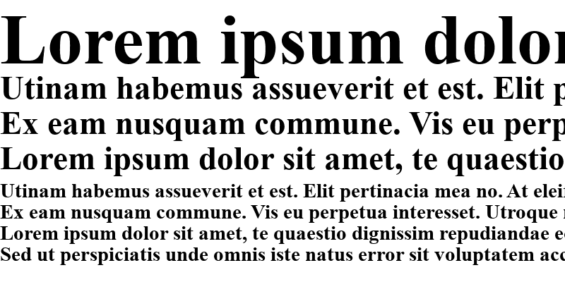 Sample of Times New Roman Bold