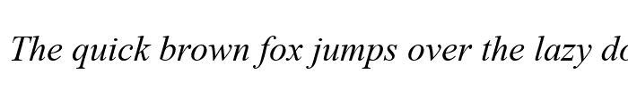 Preview of Times New Roman CE Italic