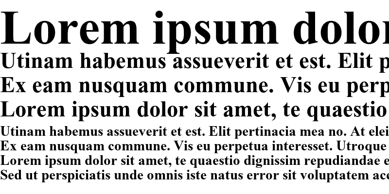 Sample of Times New Roman PS Bold