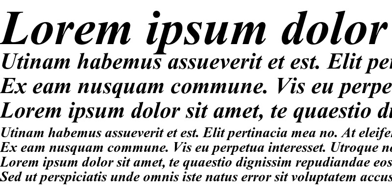 Sample of Times New Roman PS Std Bold Italic