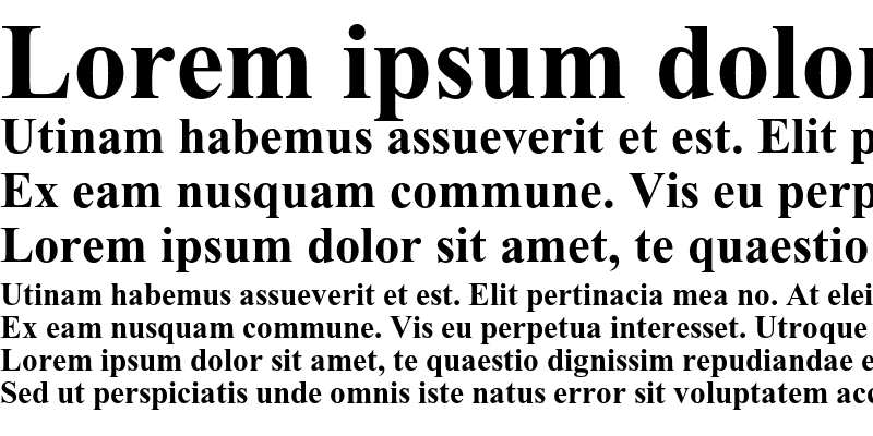 Sample of Times New Roman PS Std Bold