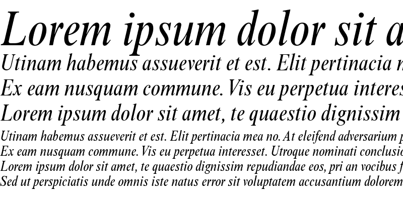 Sample of Times NR Condensed Italic
