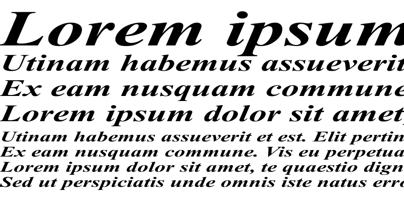 Sample of Times Roman Ex bold italic
