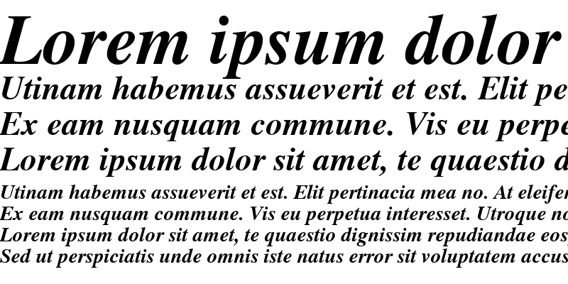 Sample of Times S Bold Italic