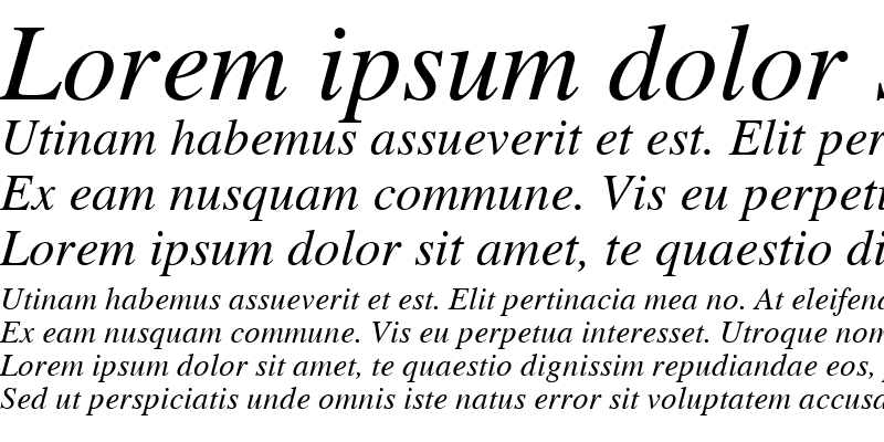 Sample of Times S Italic