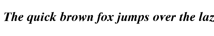 Preview of Times Ten Cyr Upright Bold Italic